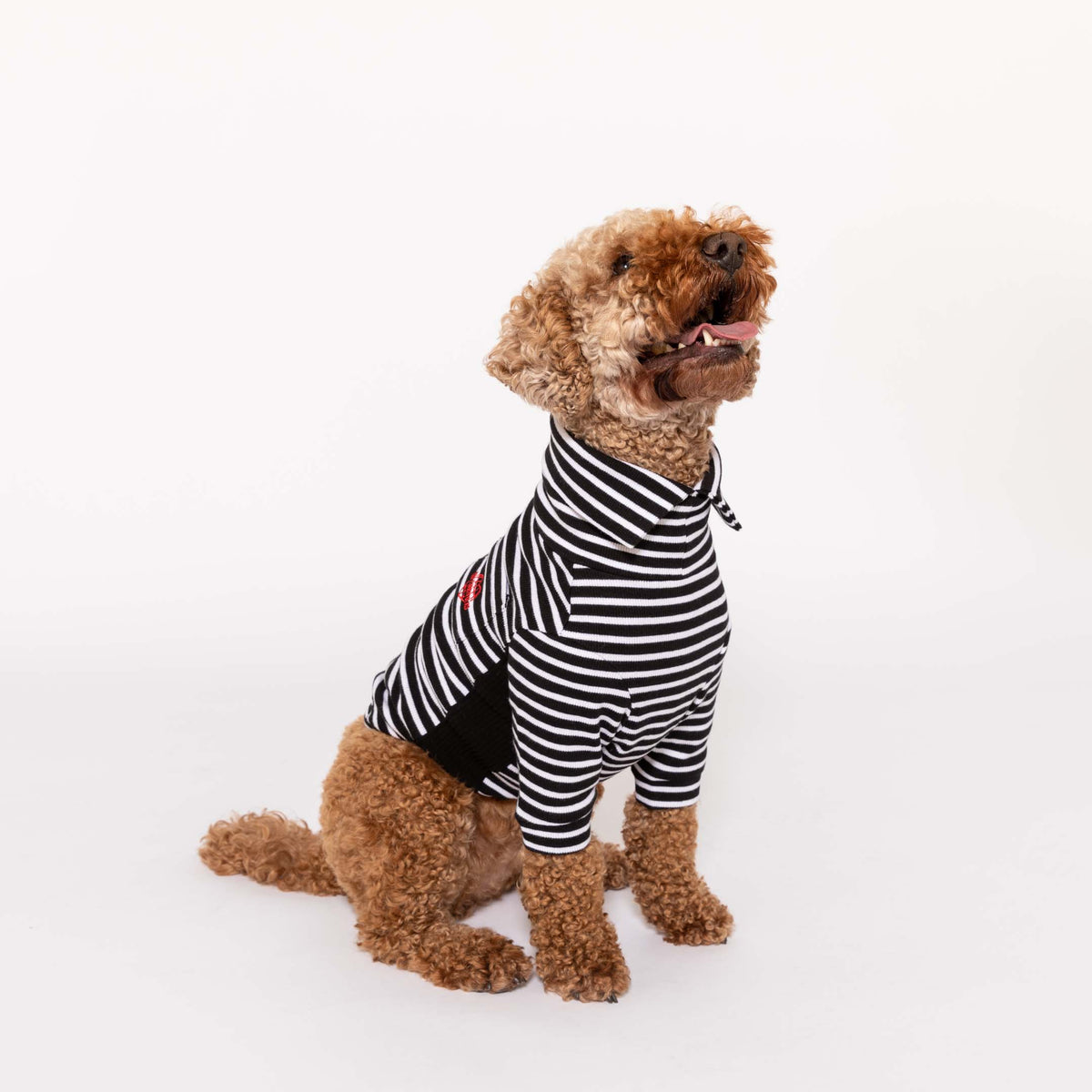 Black & White Striped Dog Shirt
