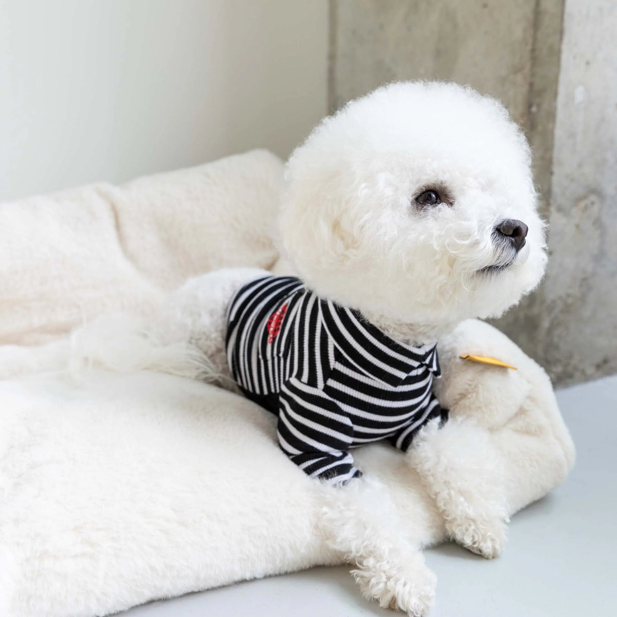 Black & White Striped Dog Shirt