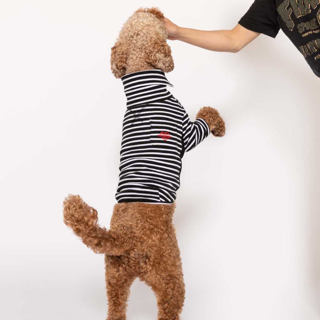 Black & White Striped Dog Shirt