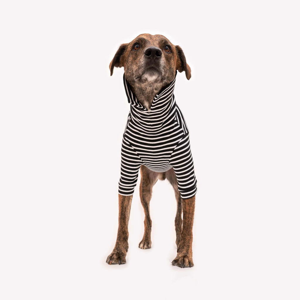 Black & White Striped Dog Shirt