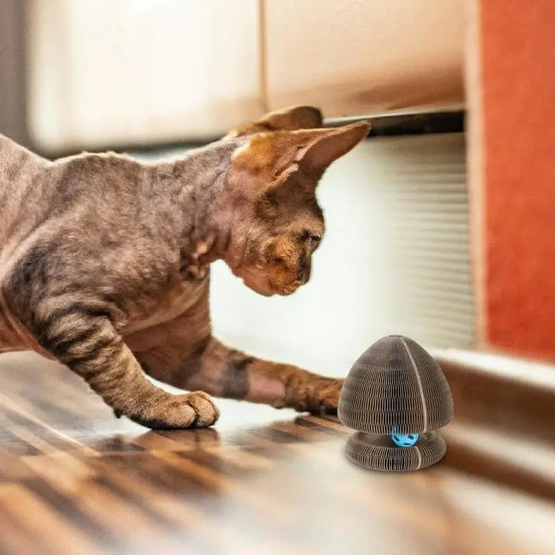Corrugated Paper Pet Cat Scratcher Pad with Ball Foldable Cat Scratch Organ Board Cat Toy Cat Grinding Claw Kitten Exercise Toy