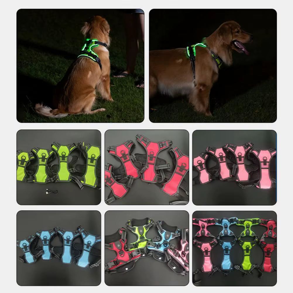 Pet Vest Harness Rechargeable Led Dog Harness for Night Walking Adjustable Glow Vest for Small Medium Dogs Pet Harness No Pull