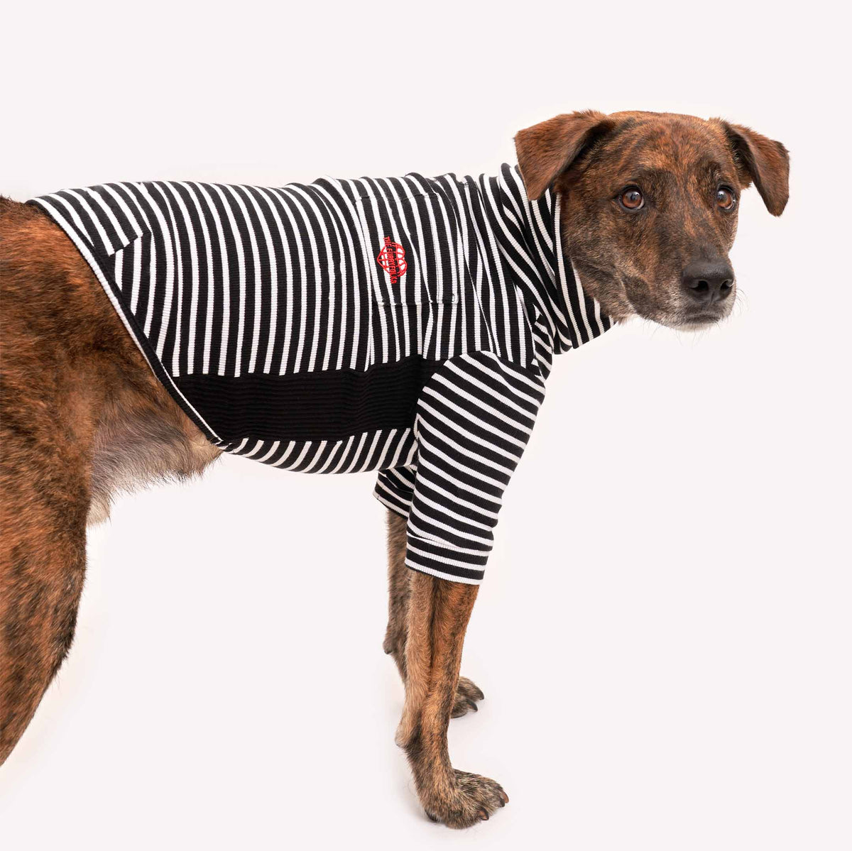 Black & White Striped Dog Shirt