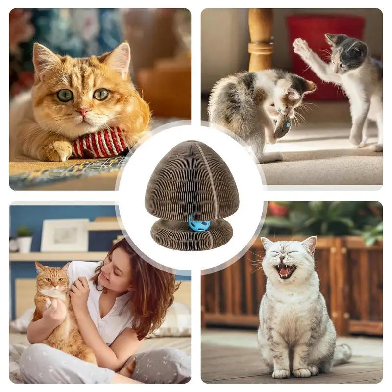 Corrugated Paper Pet Cat Scratcher Pad with Ball Foldable Cat Scratch Organ Board Cat Toy Cat Grinding Claw Kitten Exercise Toy