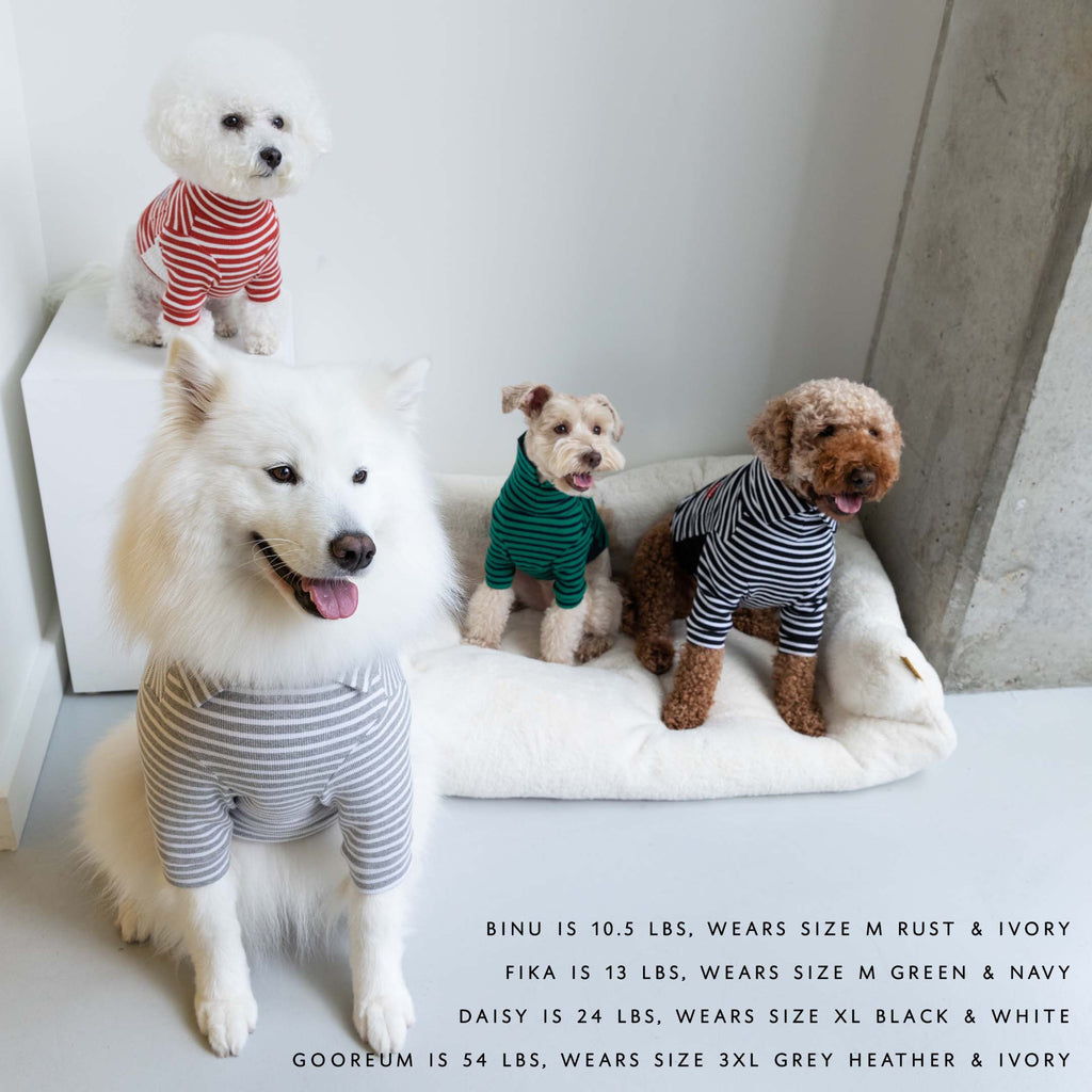 Black & White Striped Dog Shirt