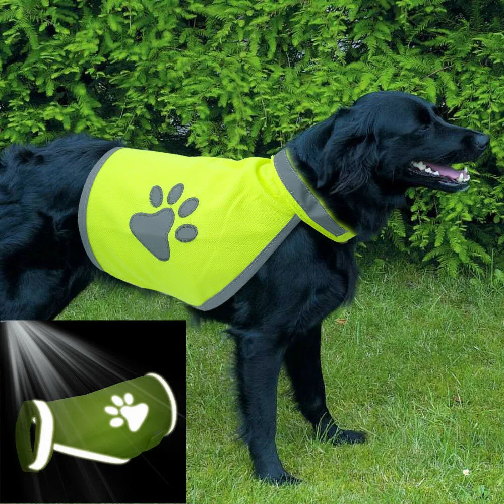Reflective Dog Safety Vest High Visibility Yellow Fluorescent Dog Clothes Dog Vis Jacket Coat Outdoor Night Safety Pet Supplies