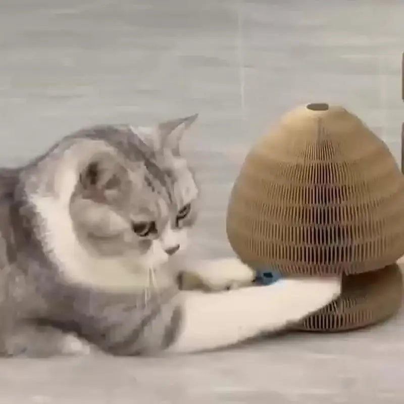 Corrugated Paper Pet Cat Scratcher Pad with Ball Foldable Cat Scratch Organ Board Cat Toy Cat Grinding Claw Kitten Exercise Toy
